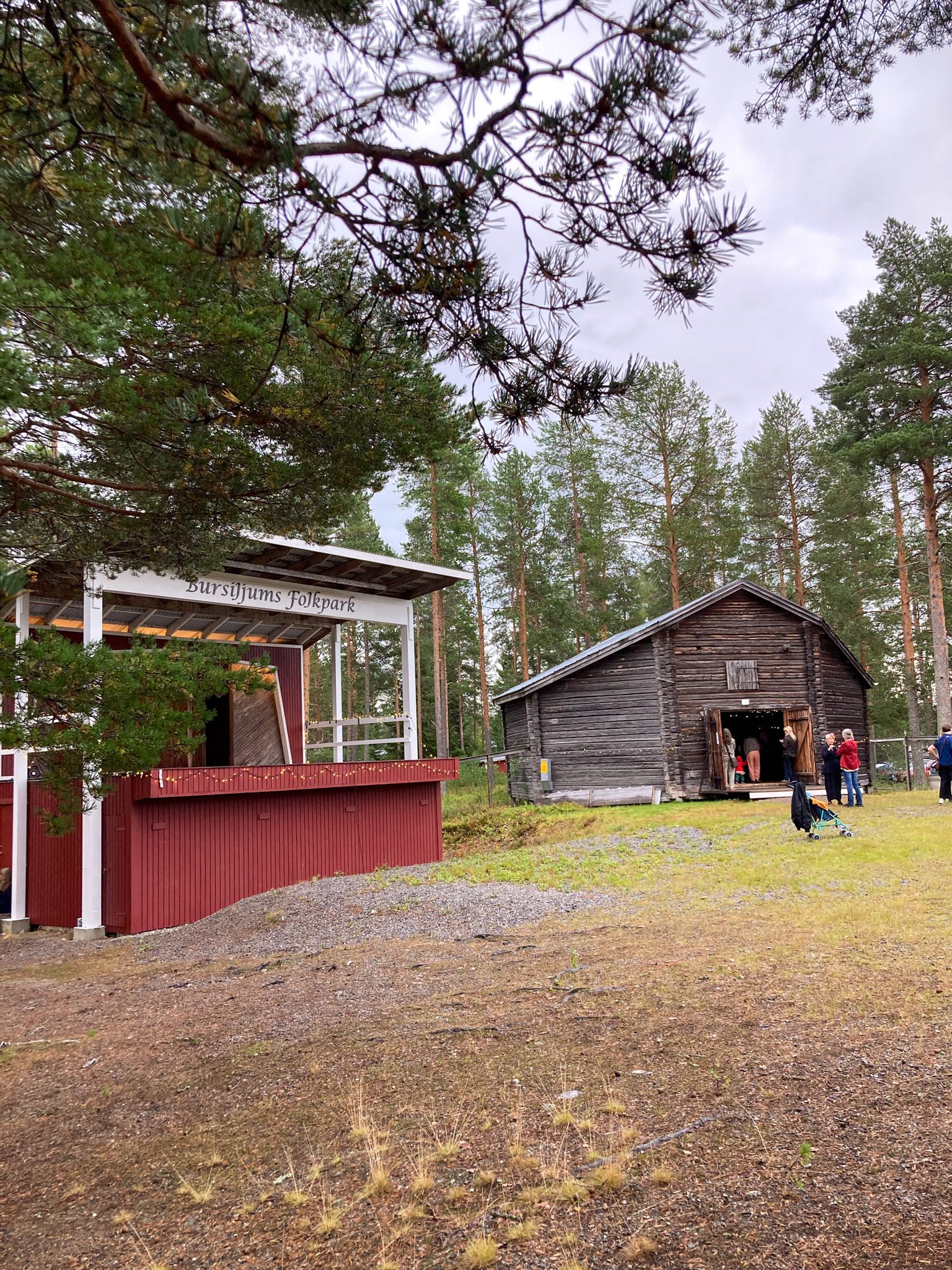Bild ute i folkparken. En tallgren täcker utescenen och en timrad loge.